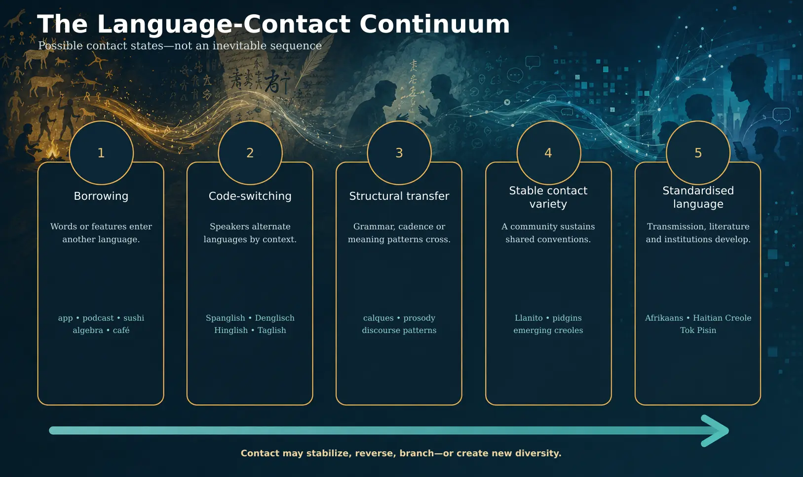 Five possible states of sustained language contact, from borrowing to standardisation